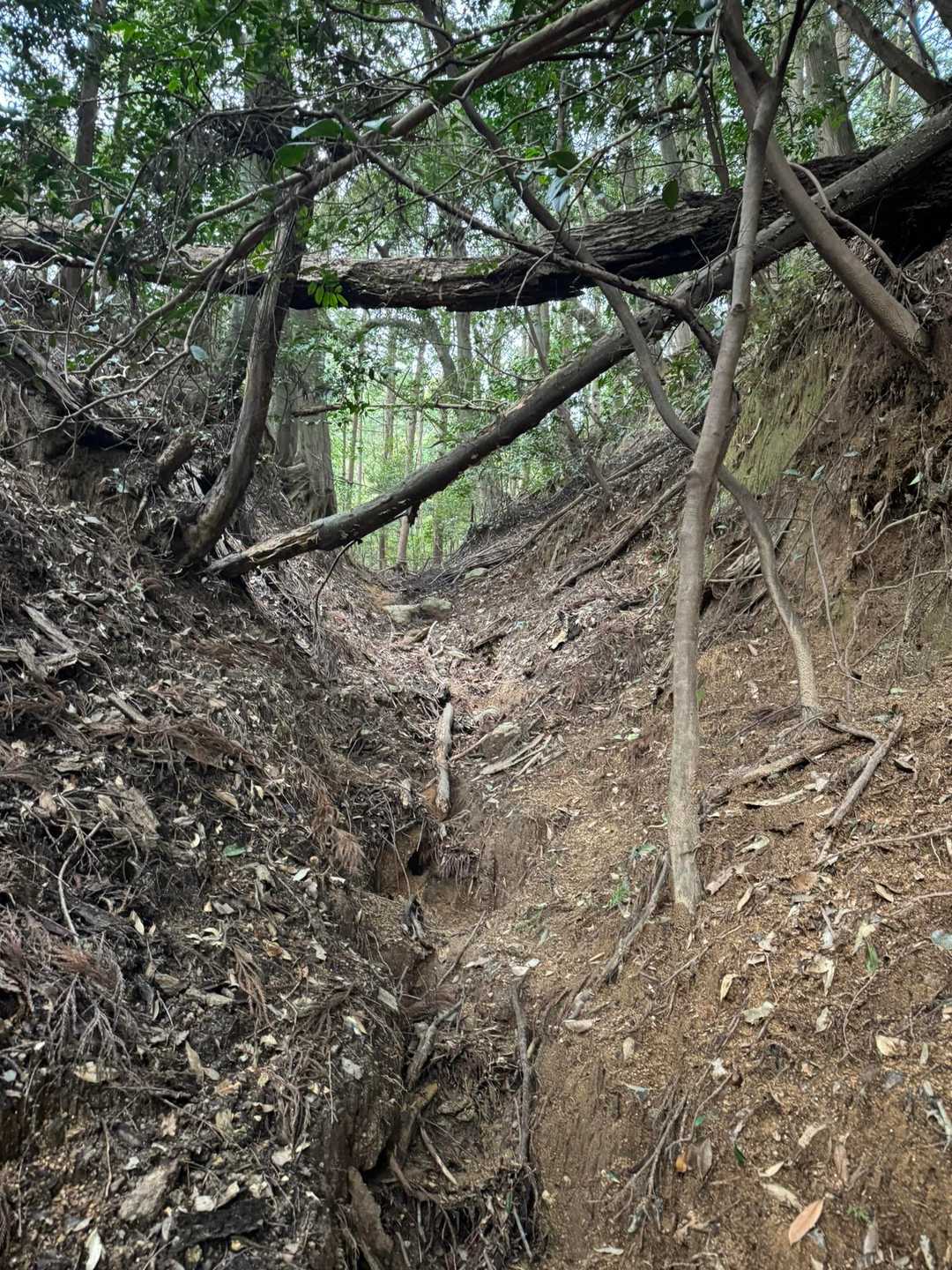 どんどん道悪くなる😅これまだマシ