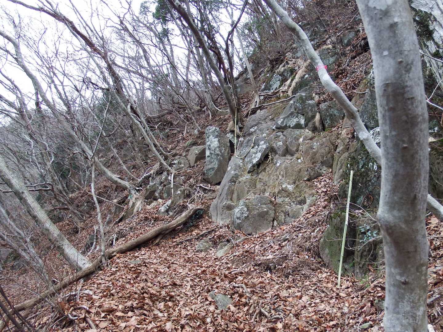 ここから険しいです