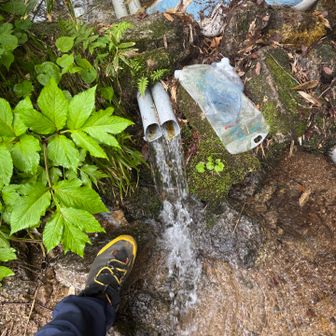 近くの水場⛲️つったくて美味しいっ！
