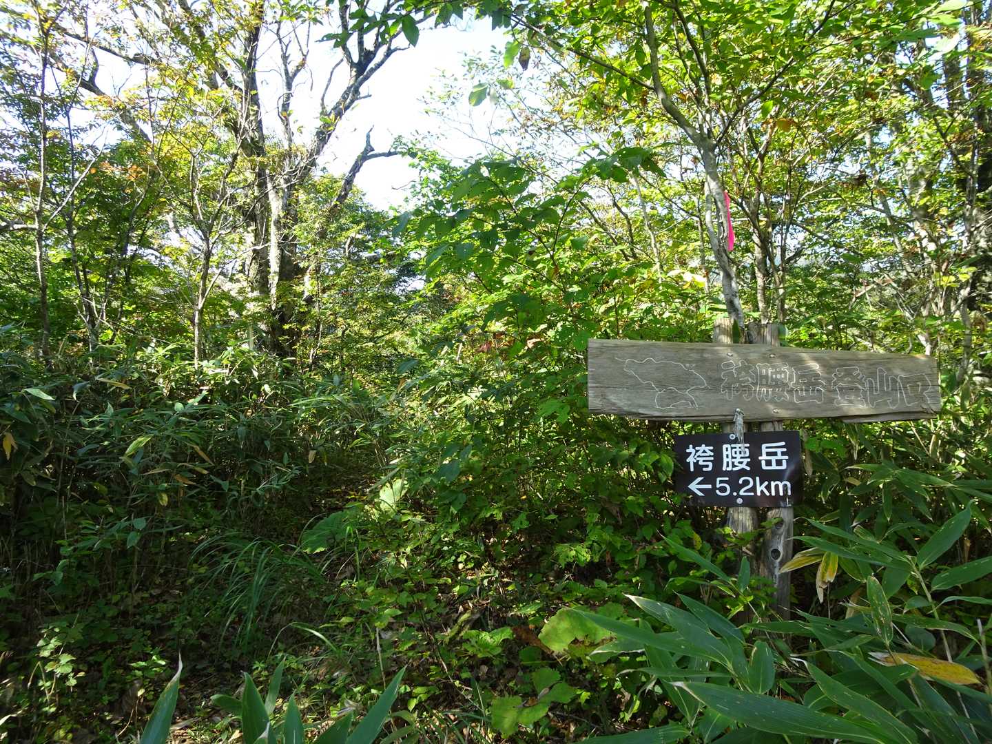 その向かいに登山口があります。
ここからが登山道です。