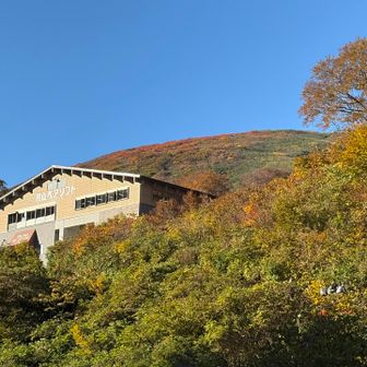 昨日と打って変わって青空が広がっています。
