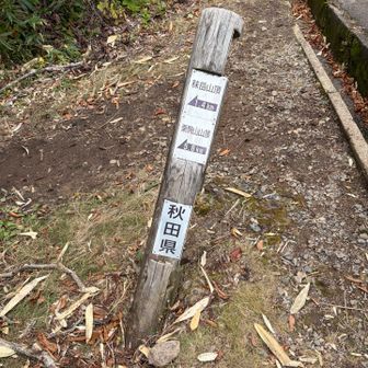 いつの間にか秋田県
