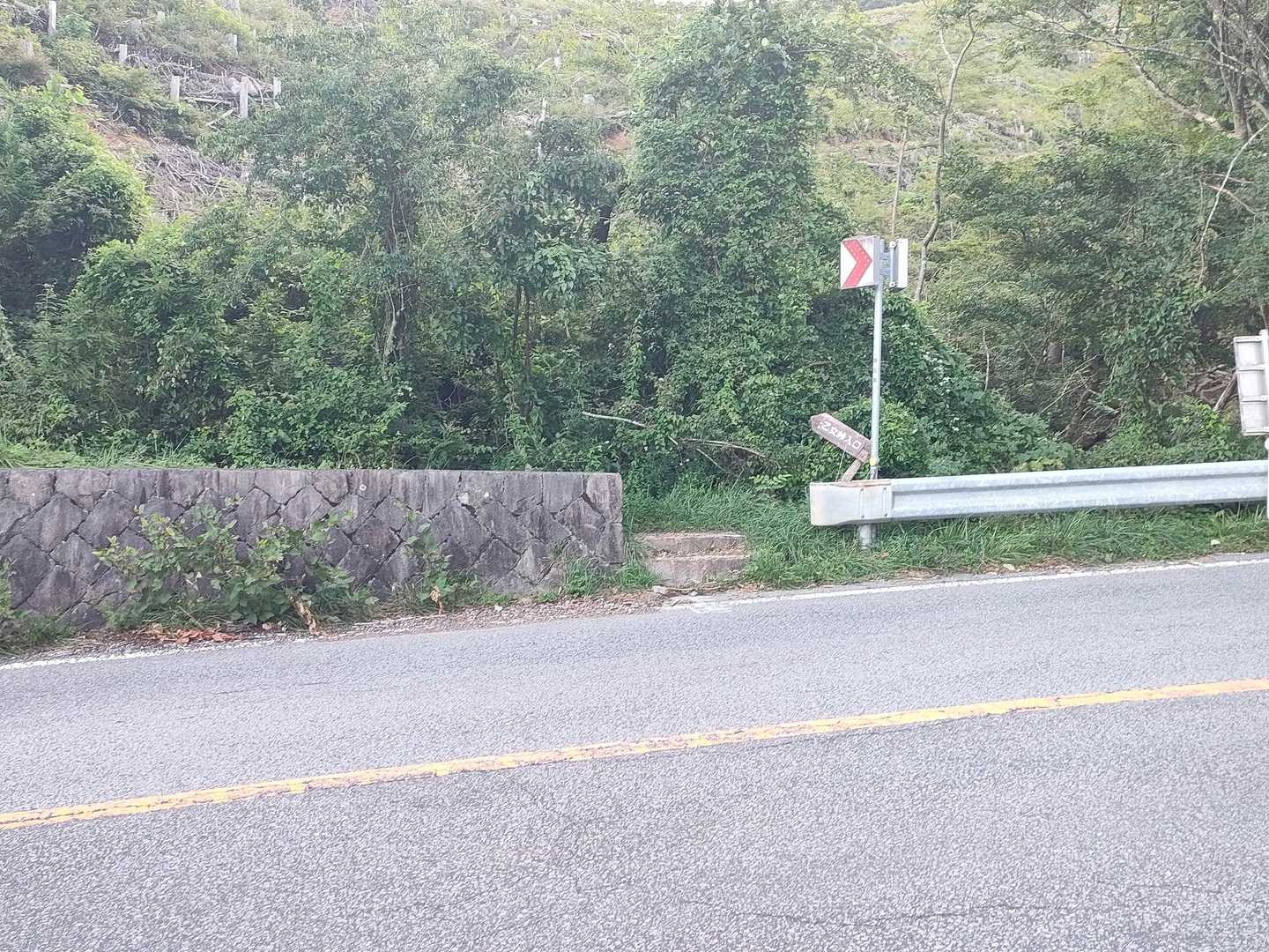 途中で車道を渡ります