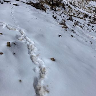 靴が湿ってきた。ちょっと後悔。