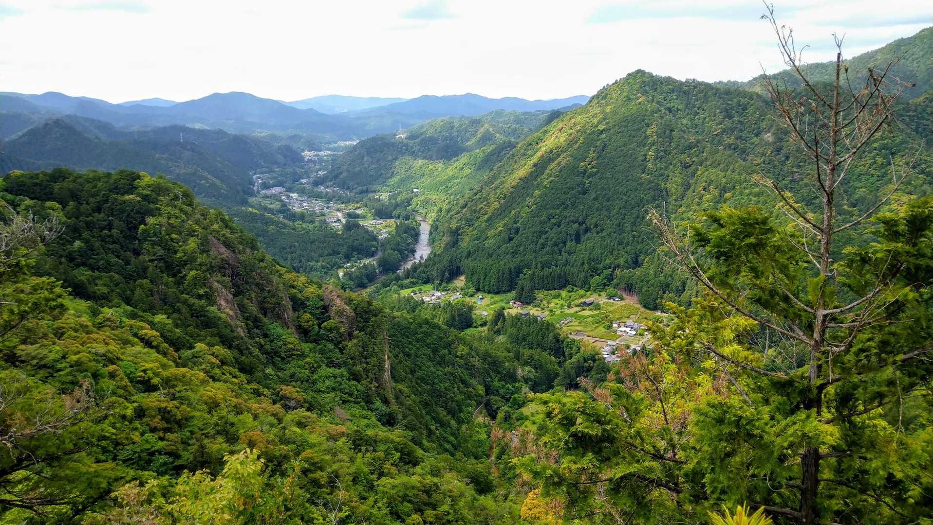 いい景色〜🌳