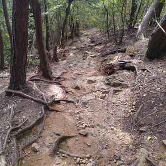 裏登山道から下山