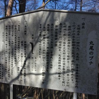 風は台風の事かな