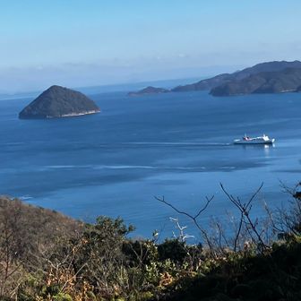 フェリーも行き交い