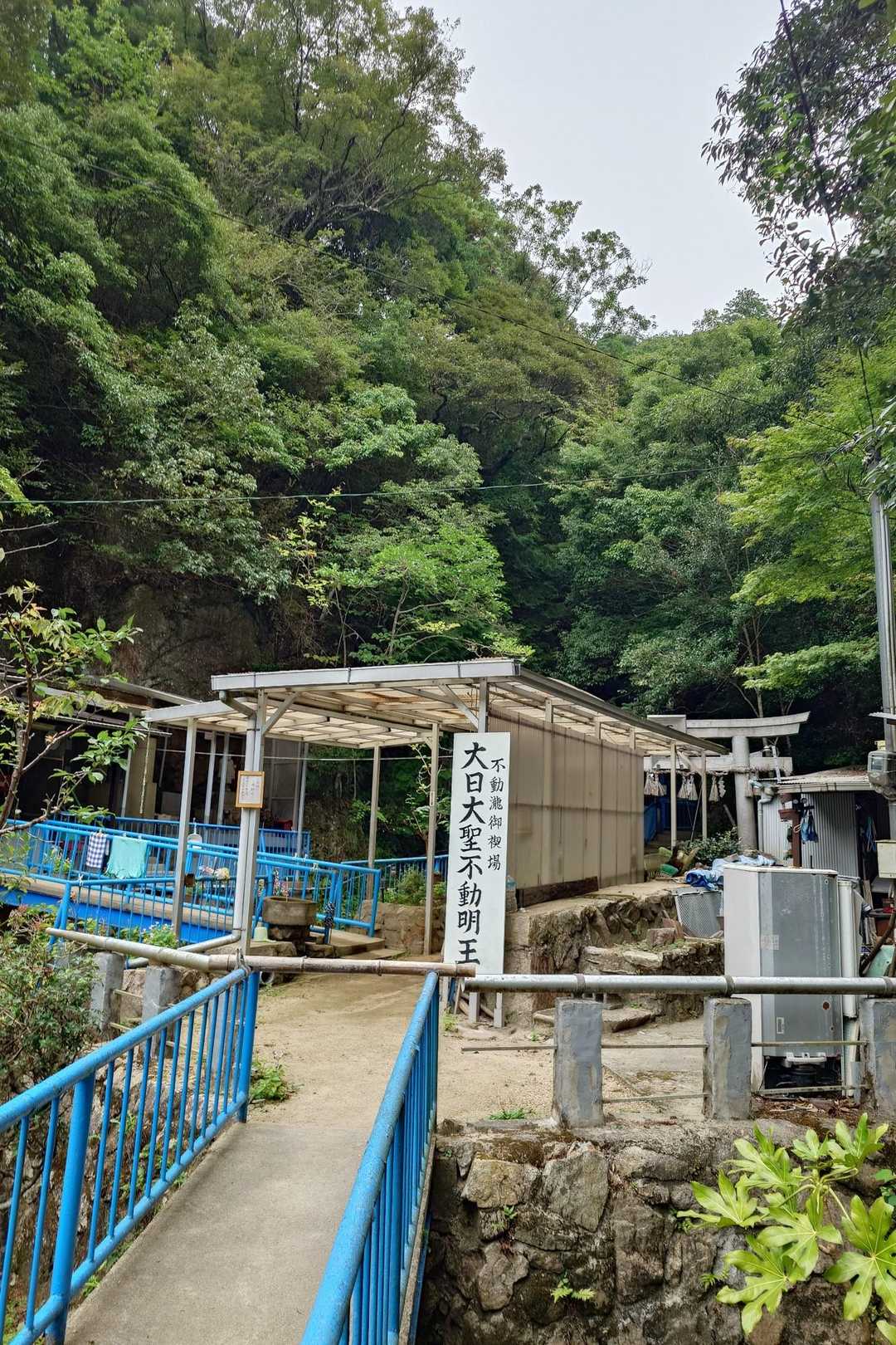 下山は青谷道🚶