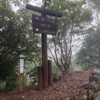 奥武蔵の盟主伊豆ヶ岳、眺望なし。
まぁ天気悪いから関係ないか。