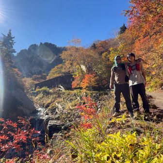いまが正にピーク🍁って感じでした😊