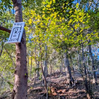 ②八景山に登頂です🙌
眺望無し