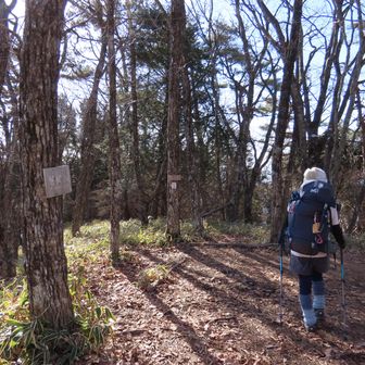 

鬢櫛山を通過、
