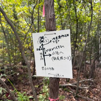 新尾根コースと日の出山ルートの合流点
ピストンになりますが、高低差もなく距離も短いため山頂まですぐです