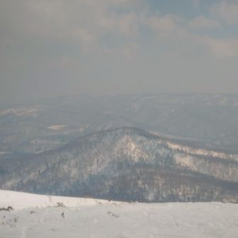 こきもべつだけ