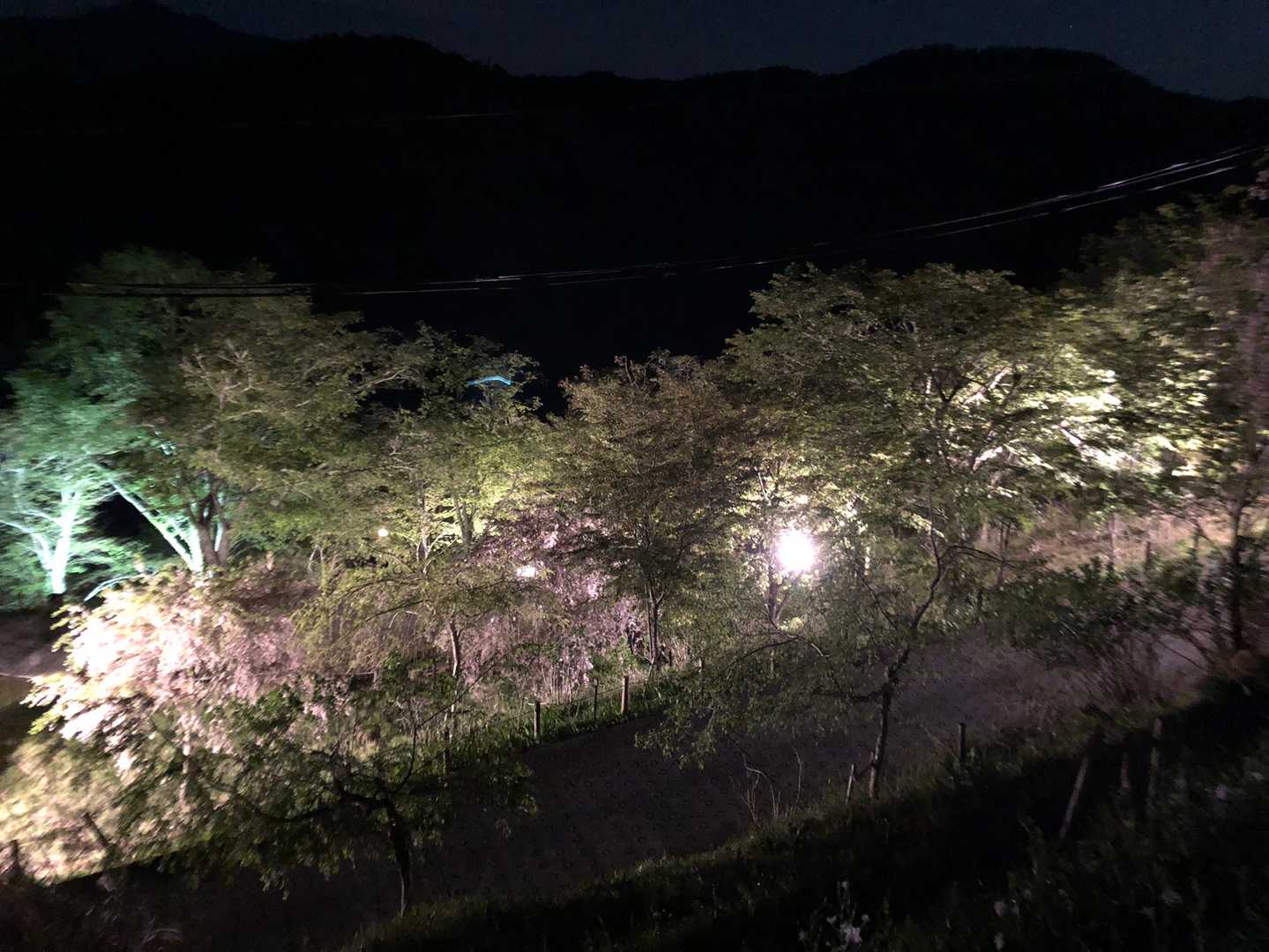 あっちのコースは、来年かな