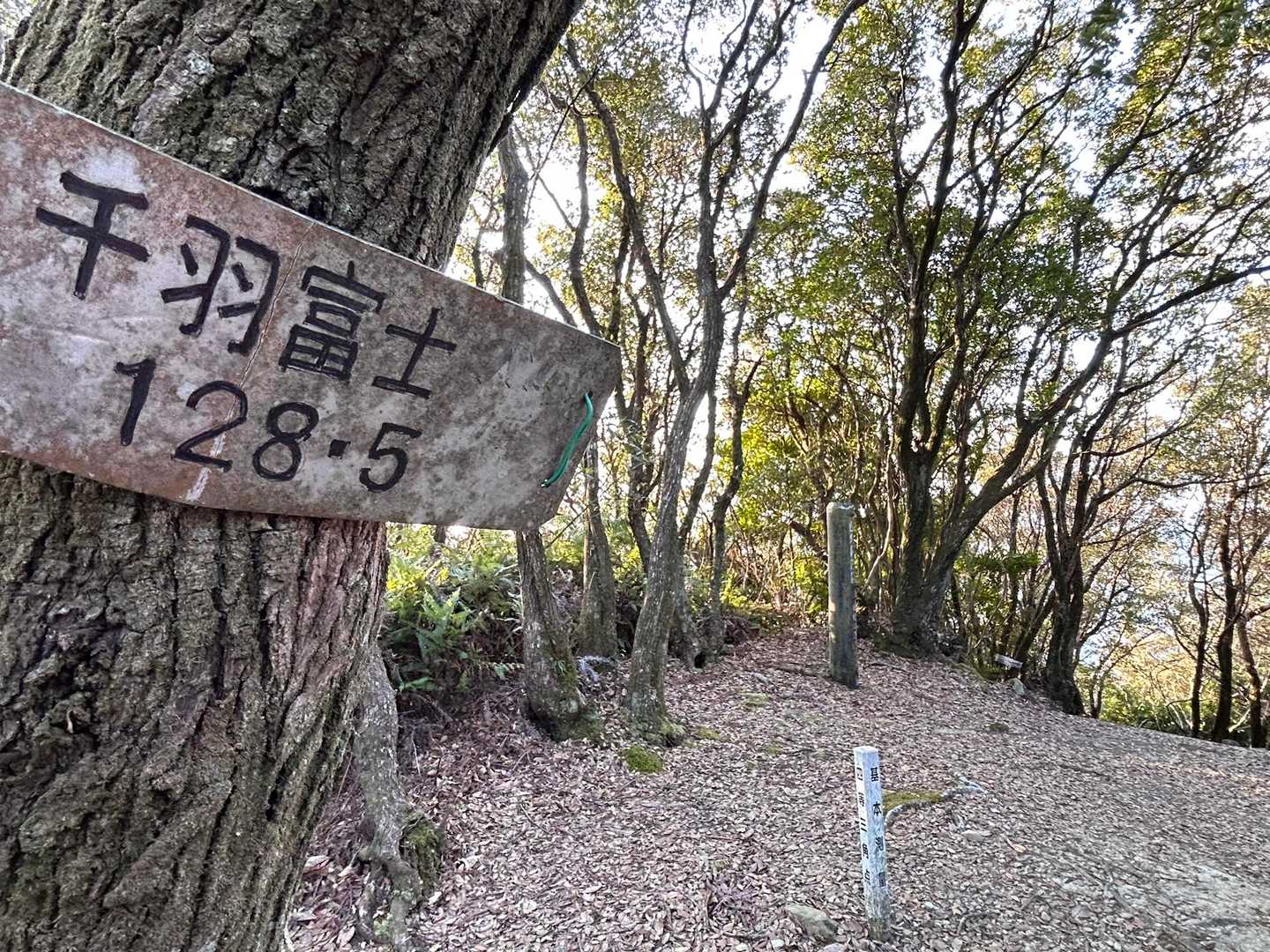 千羽富士　眺望ありません