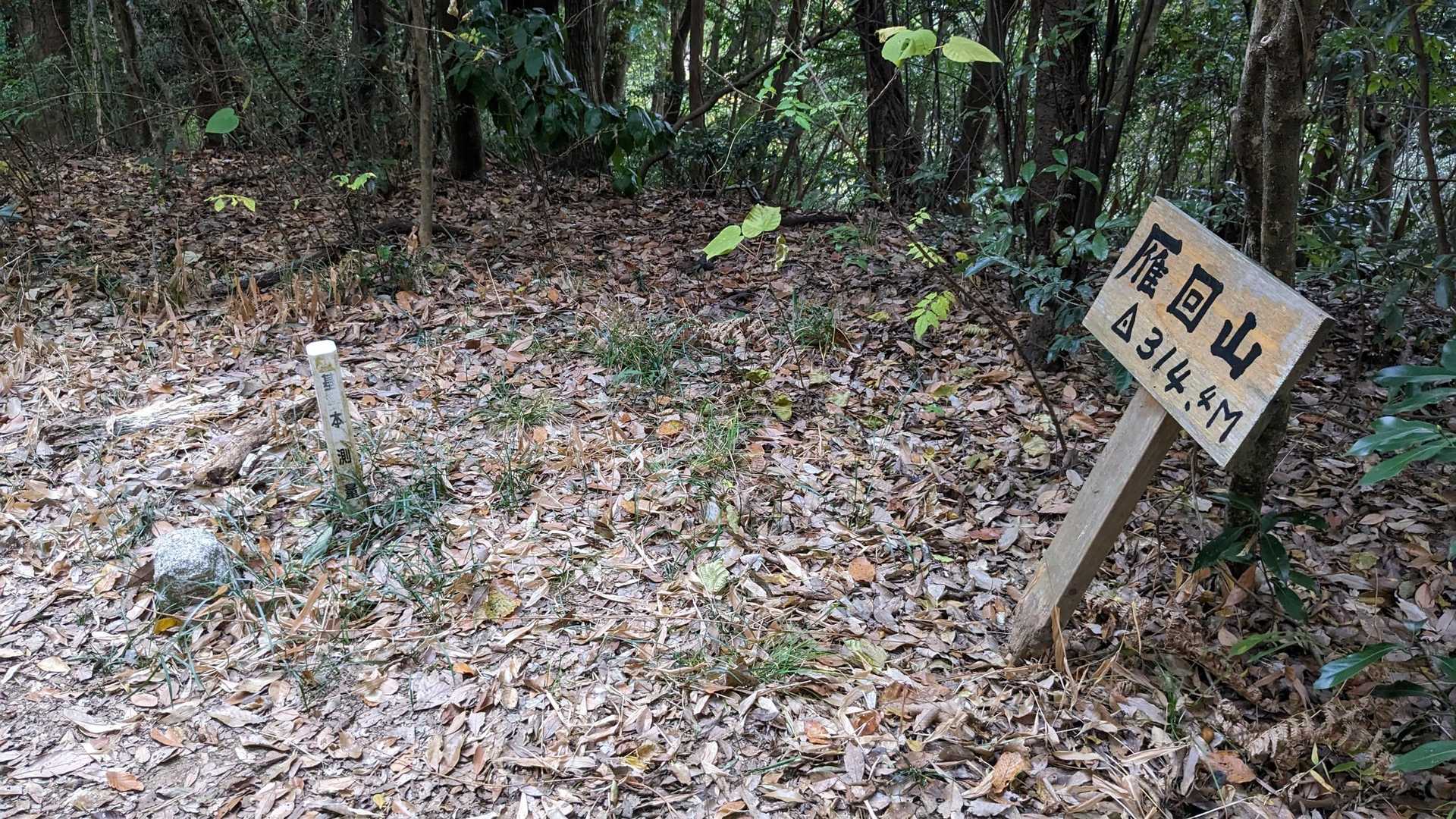 山頂到着