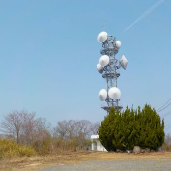 高倉山山頂三角点が隠されてる場所