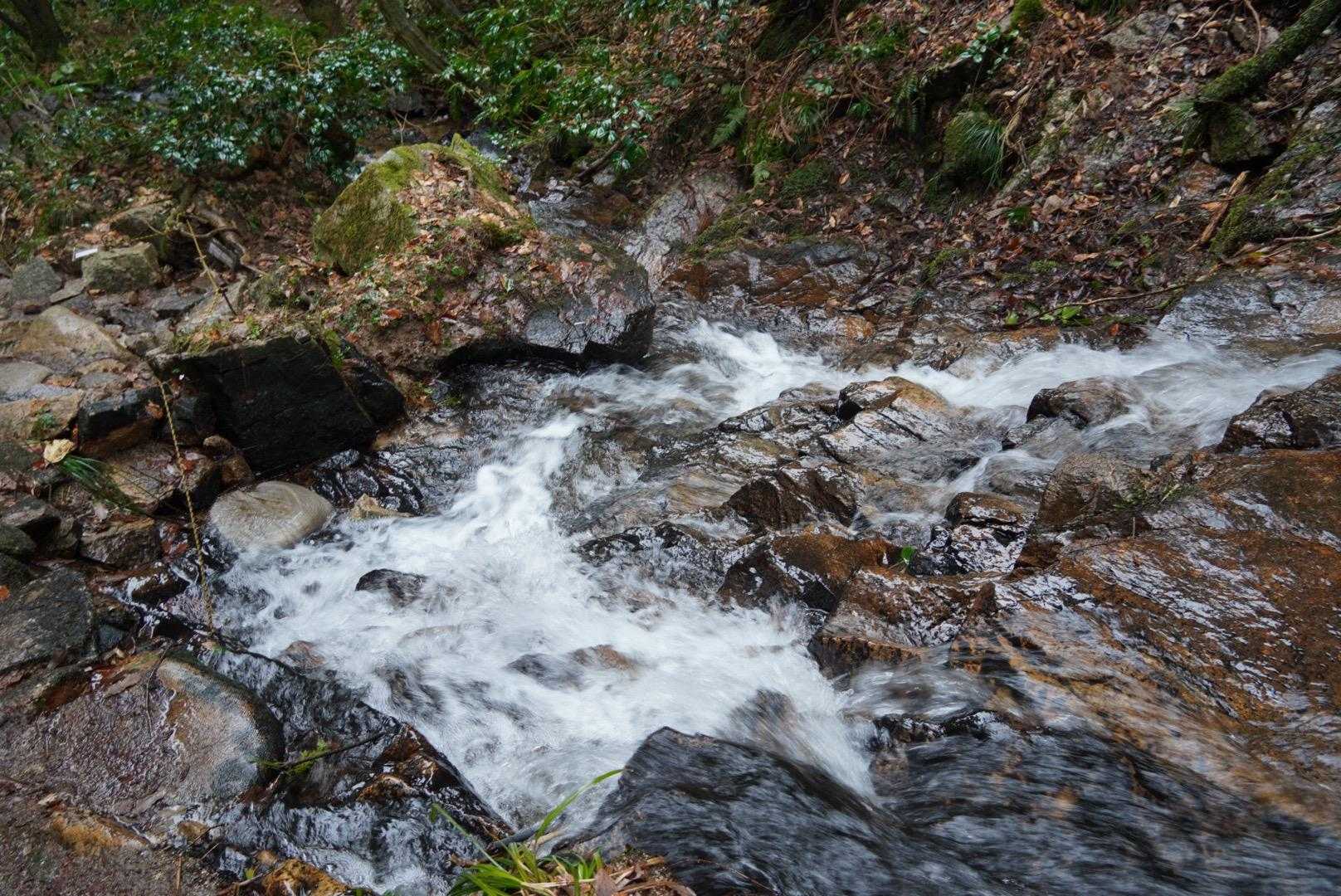 沢の流れは急　道は滑らないよう注意
