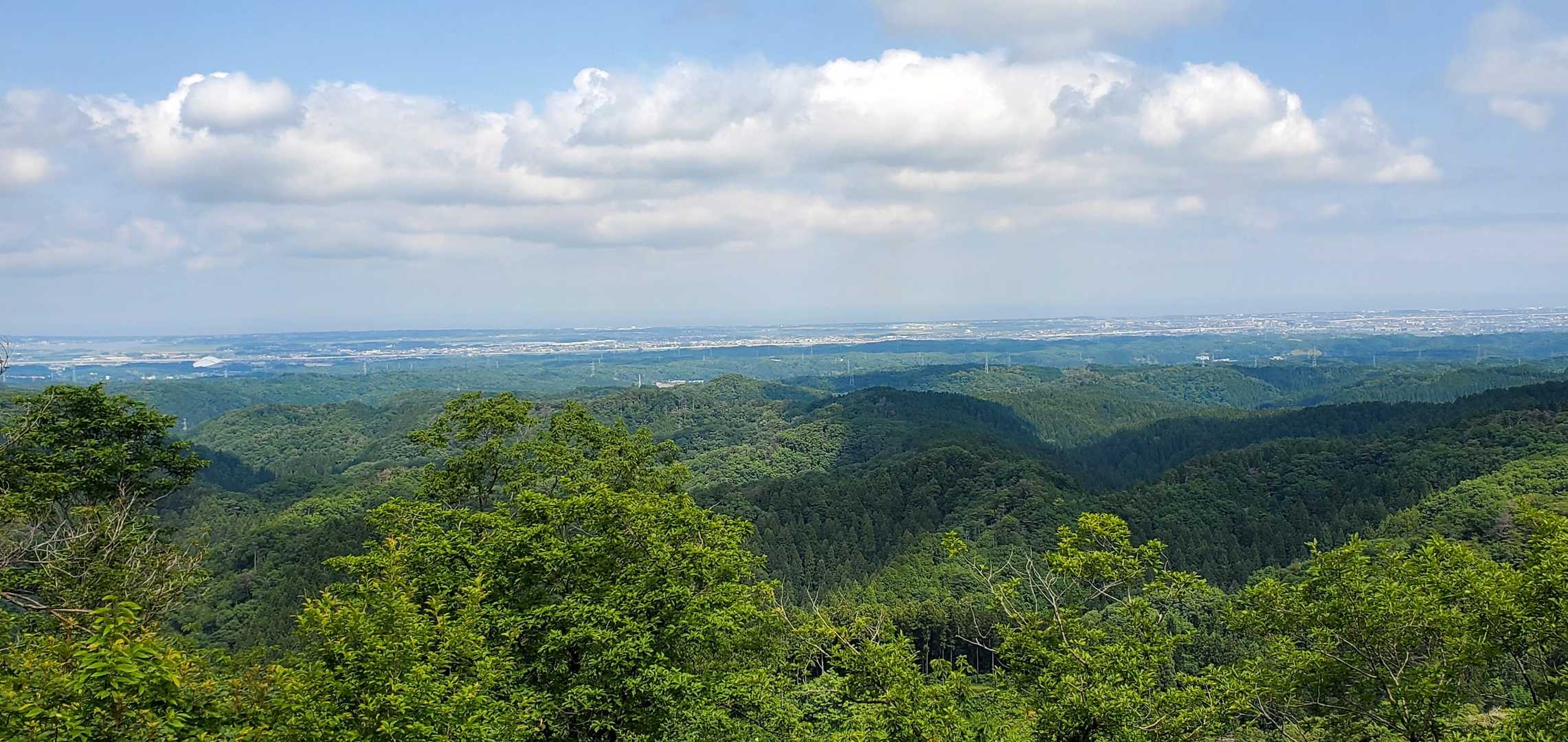 蓮如山-鷹落山 縦走コースの写真