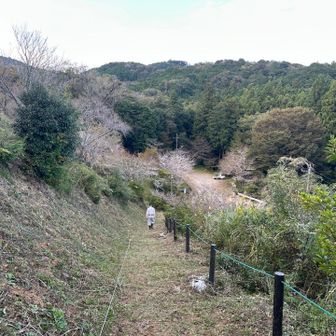 たくさんご説明、ありがとうございました。また、お会いしましたらよろしくお願いします🫶