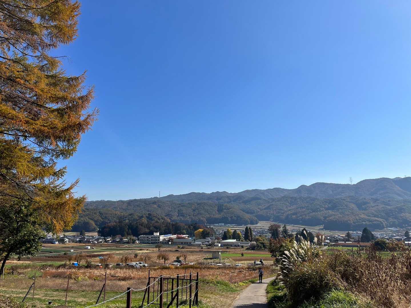 霧訪山登山口-かっとり城址-霧訪山 往復コースの写真