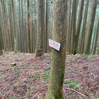 ルートは不鮮明ですが、看板が何箇所かあるのでそれを辿ればOK