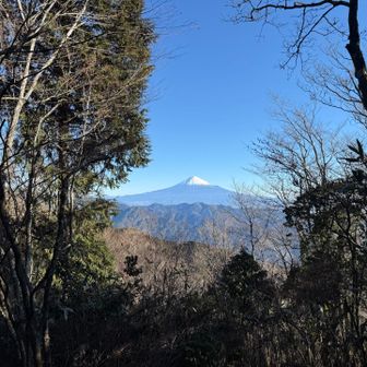 富士山🗻