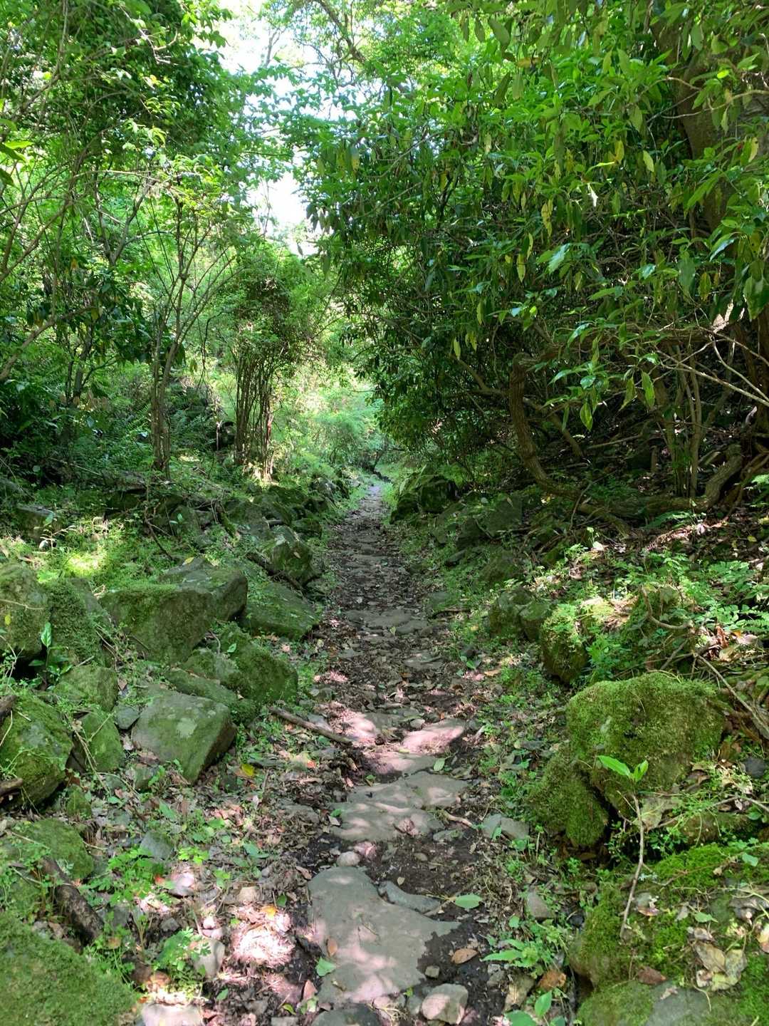 石切場跡
苔むしてジブリみたいだね😊