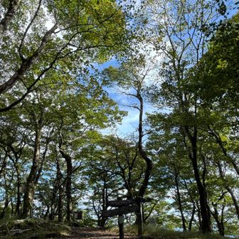 三国山まで戻ってきました！
