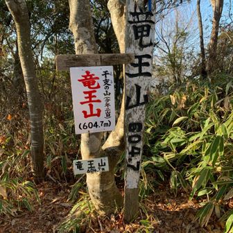 あっという間に頂上