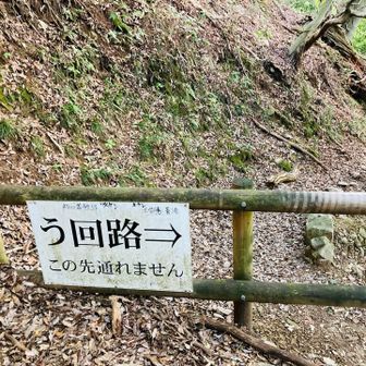 『初心者無理　キケン』⛔️
七曲滝・蟇滝への分岐

はい！行きません！🫡
というか行けません🤭
