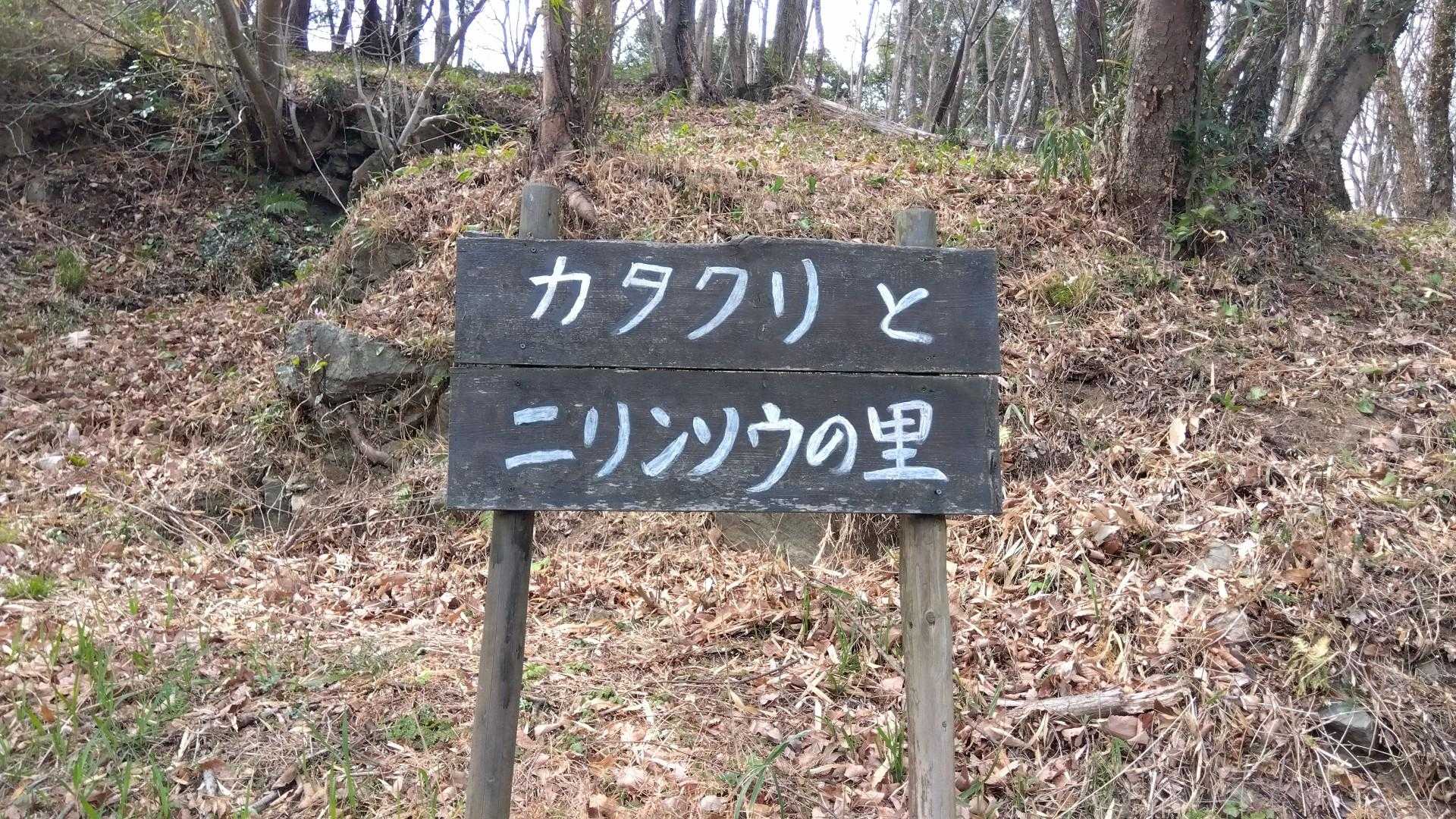 「カタクリとニリンソウの里」