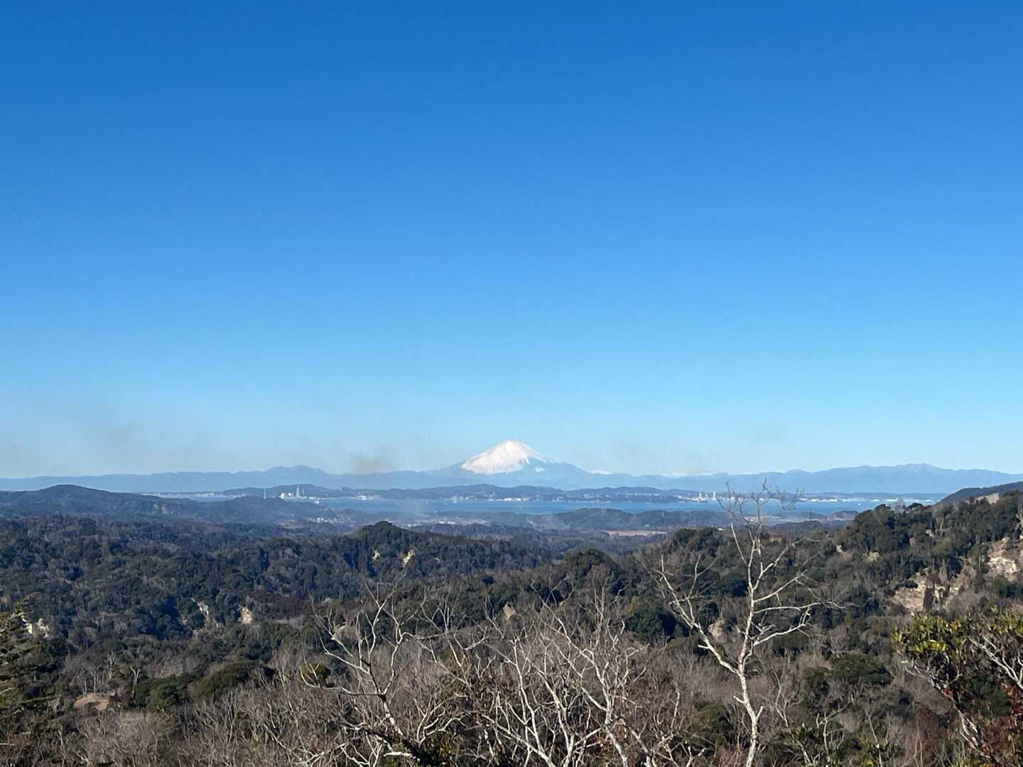 右には富士山と東京湾が並走します😆