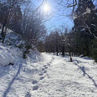 先行者１名
この足跡を頼りに進んでみます
