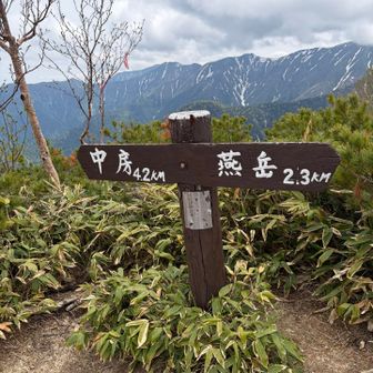 この後、携帯の🪫が落ちました。

いつものことです😅