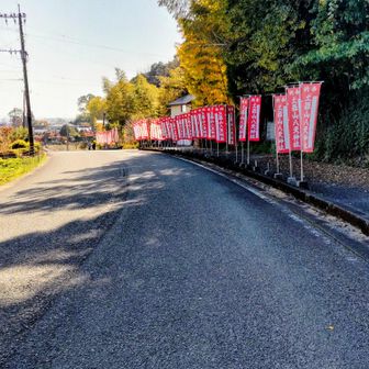 八天神社前へ 下山    
さあぁ❗️紅葉🍁の仁比山神社  公園へ