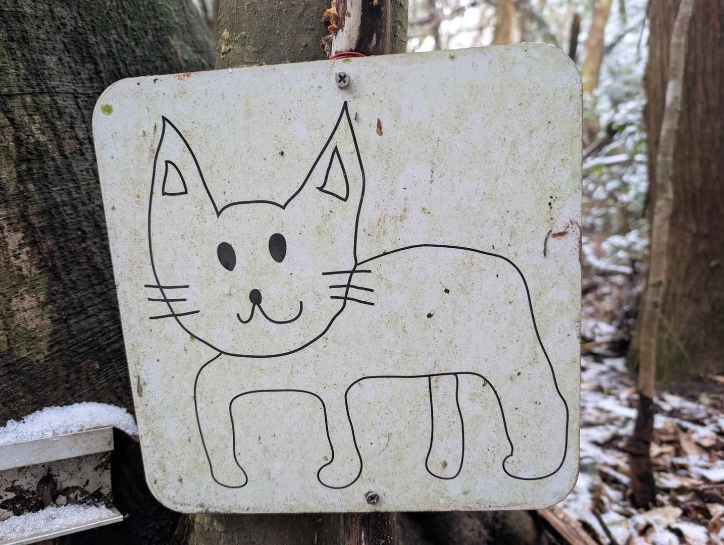 🐱