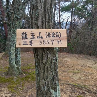 龍王山 山頂⛰️
