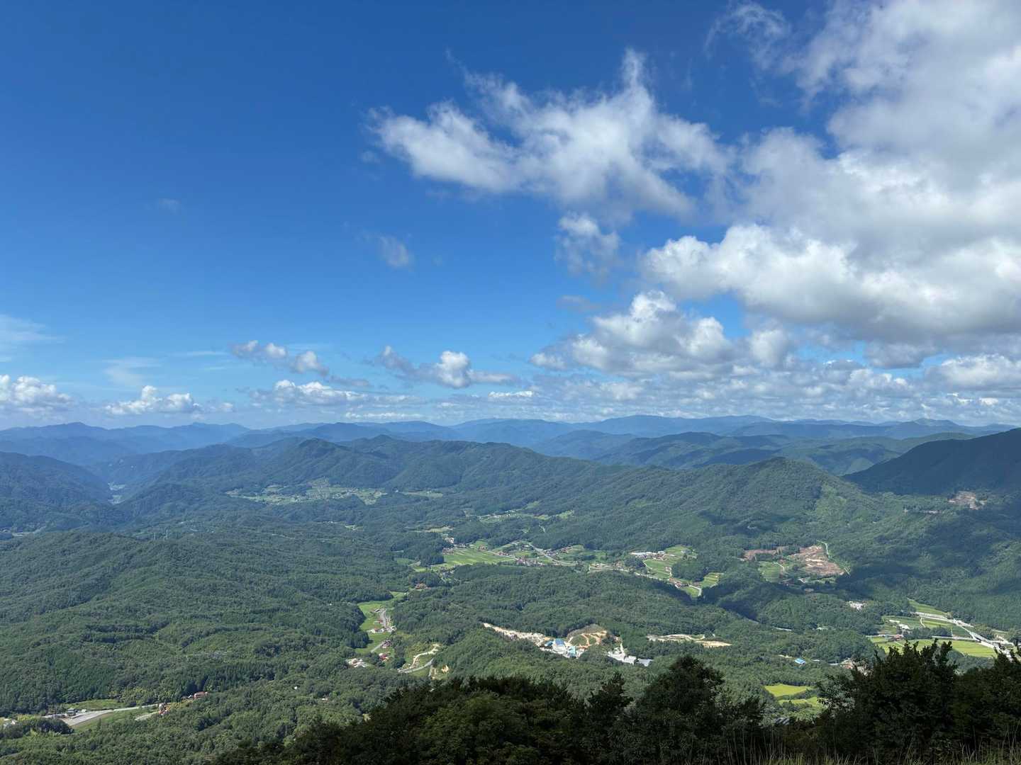 龍頭山 往復コースの写真