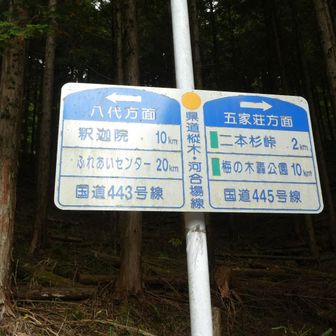 目的地の二本杉まで2キロ、ロードなのでペース上がります👍