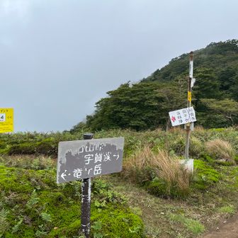 分岐より静ケ岳方面へ