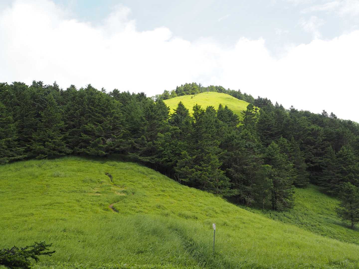 下り坂をぬけると、いよいよ『牛奥の雁ヶ腹摺山』らしきものが奥に見えてきた。