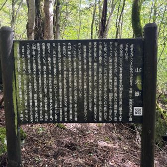 この案内板とてもいいです