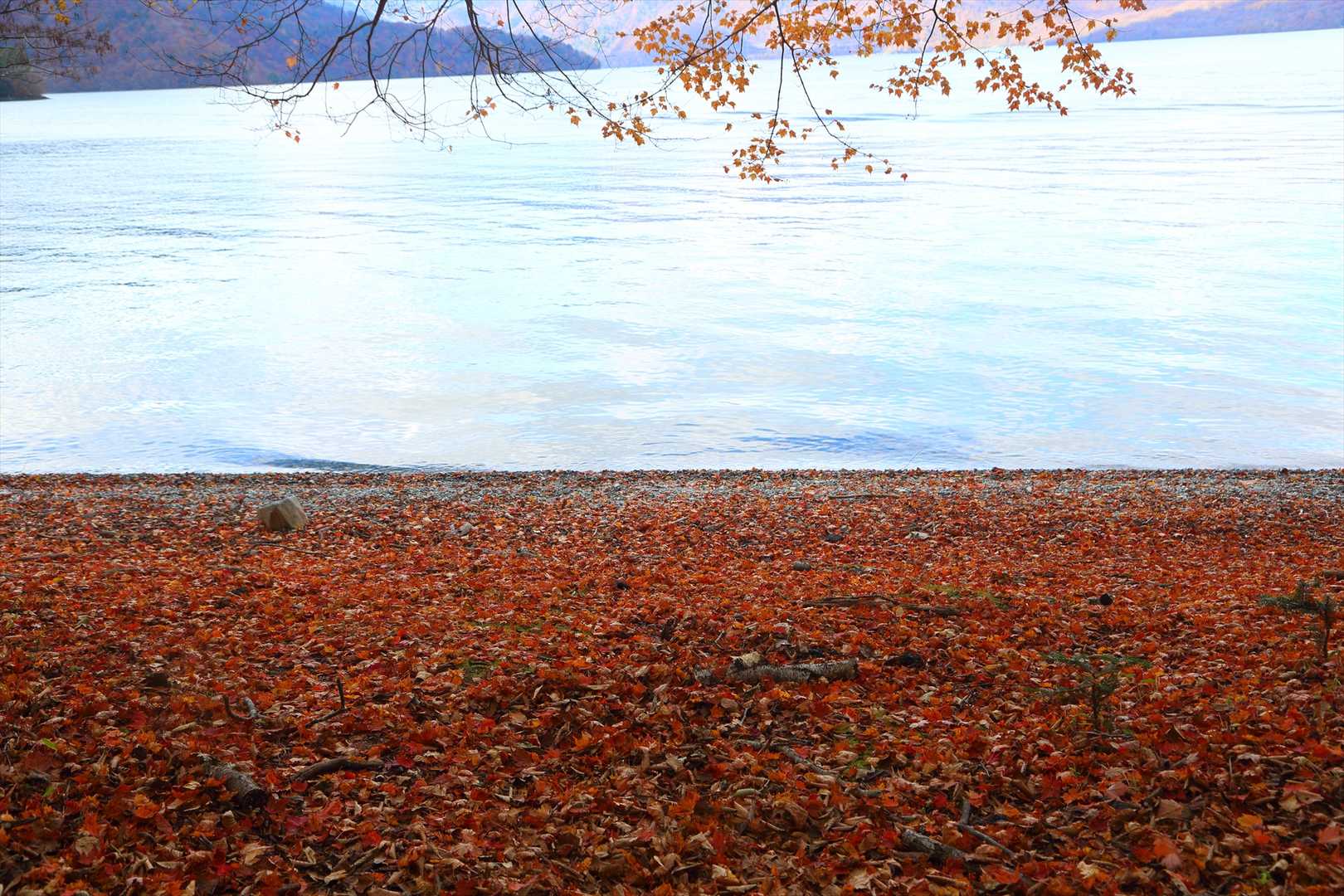 紅葉の絨毯と中禅寺湖🍁