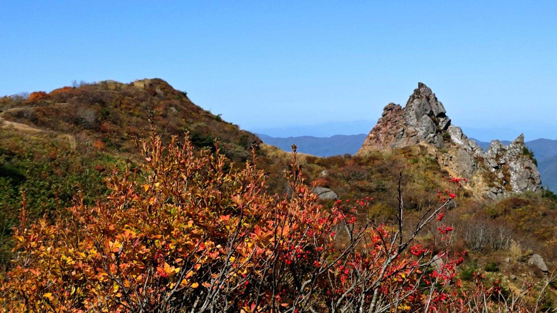 紅葉と景色が混じり合って〜足が進みません👣