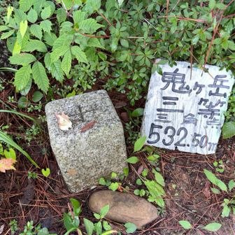 三角点小リスたっち