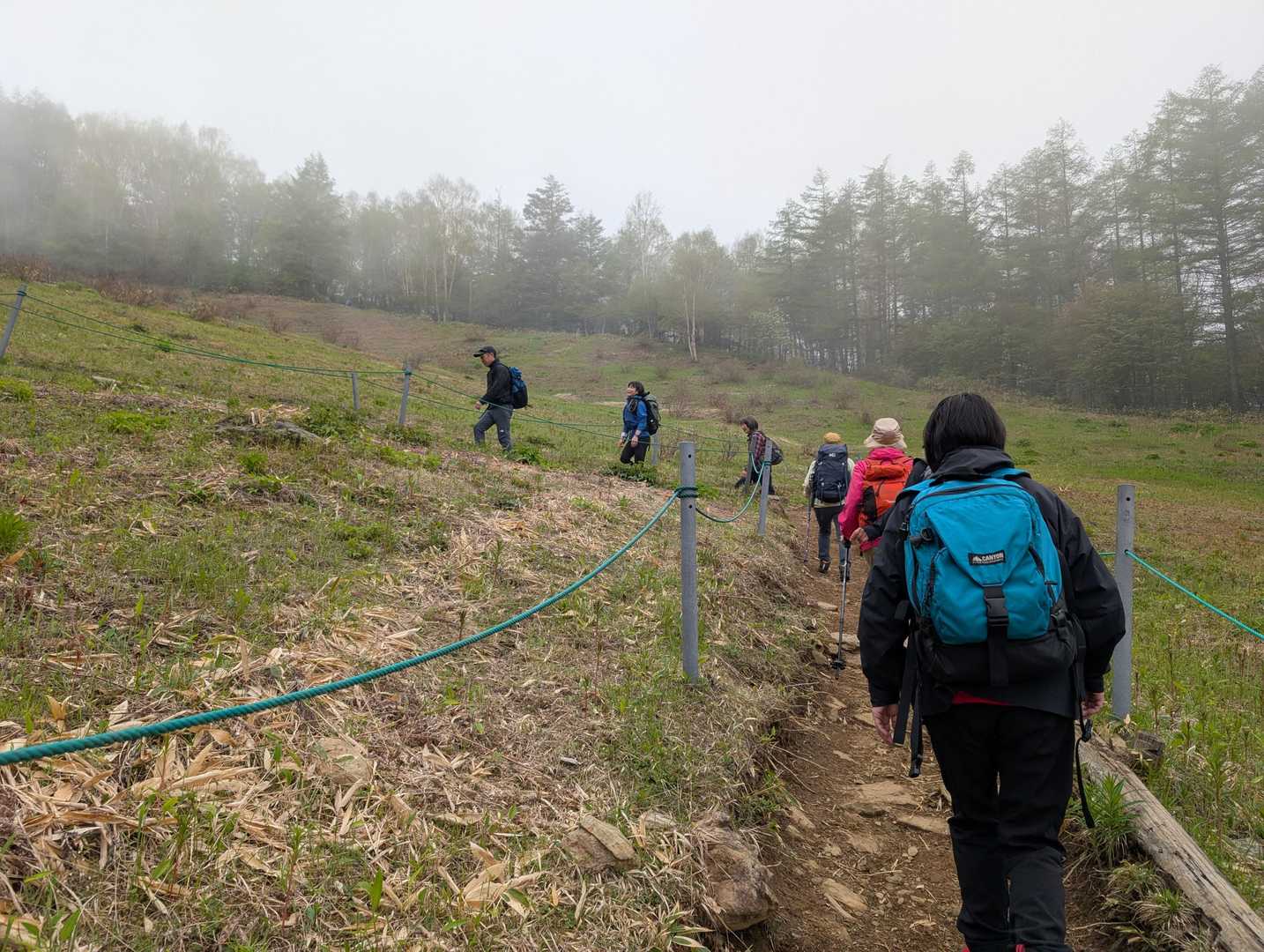 【フラット登山】入笠山・大展望の頂と深く静かな湿原をつなぐの写真