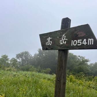 いただきー！